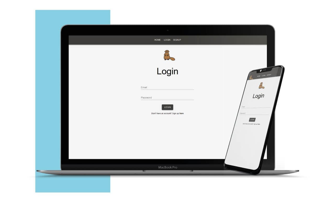Fully responsive app - authentication page